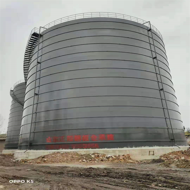 振兴3万吨大型钢板库