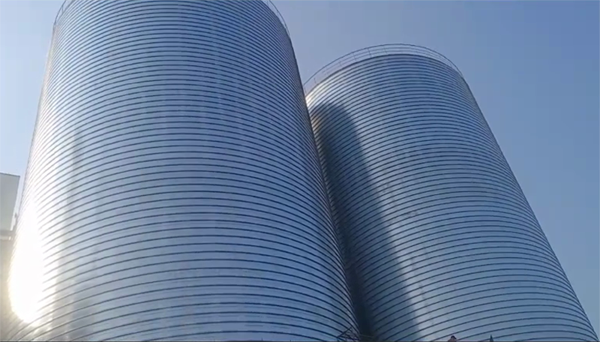 振兴2座混凝土高架卷板仓